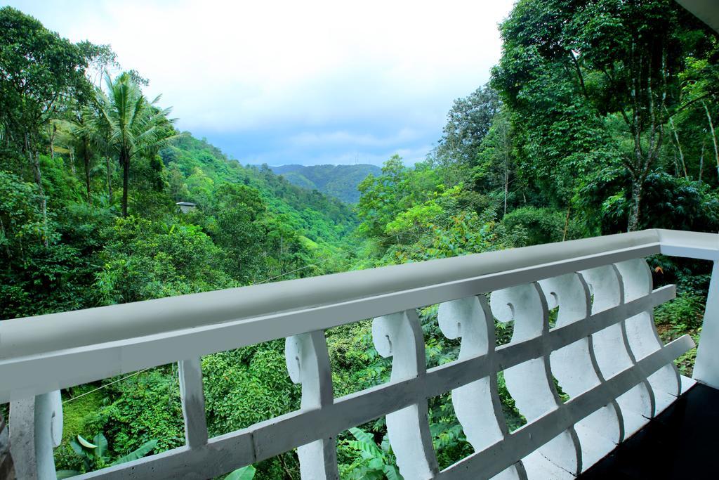 Spring And Valley View 테카디 객실 사진